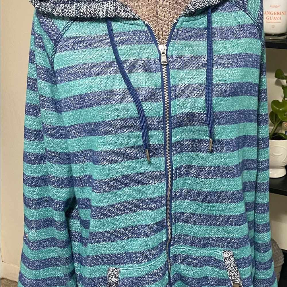 Ruby Rd. Blue and Green Striped Hoodie